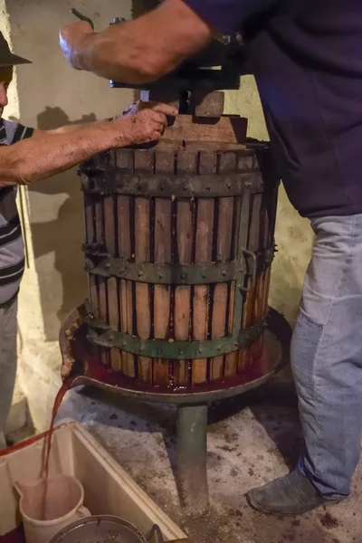 Winemaking. Old wooden wine press with must inside. Pressing of grapes for red wine