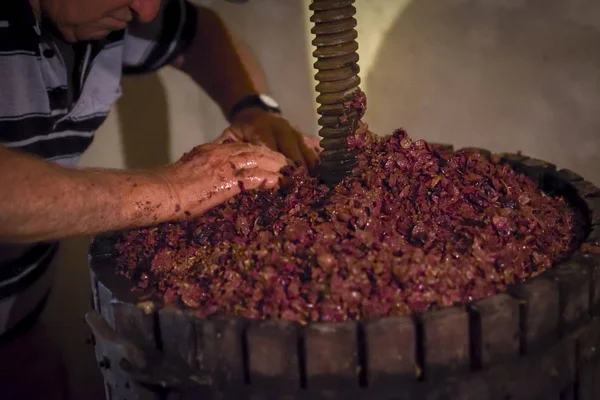 Şarap yapımı. Eski ahşap şarap basınla içinde gerekir. Üzüm için kırmızı şarap basarak