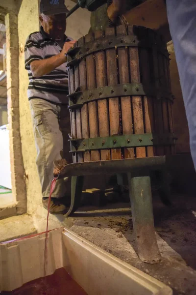 Vinificazione Vecchio Torchio Legno Con Mosto All Interno Pressatura Delle — Foto Stock