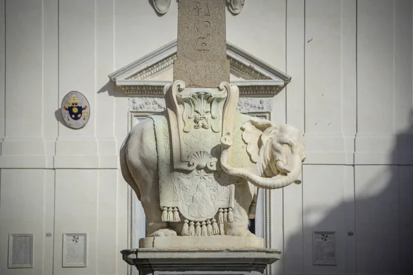 Roma Itália Elefante Por Bernini Praça Minerva — Fotografia de Stock