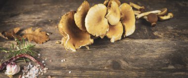 mantar kavak ahşap masa üzerinde ve diğer maddeler ormanında toplanan