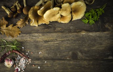 mantar kavak ahşap masa üzerinde ve diğer maddeler ormanında toplanan