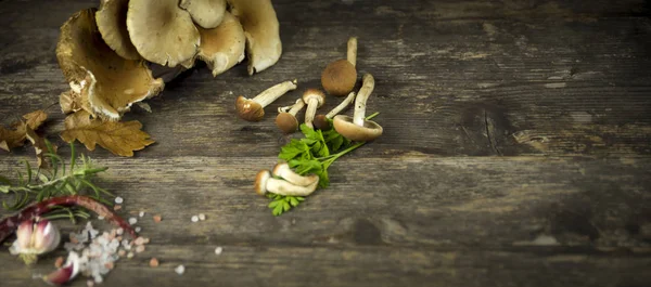 mantar kavak ahşap masa üzerinde ve diğer maddeler ormanında toplanan