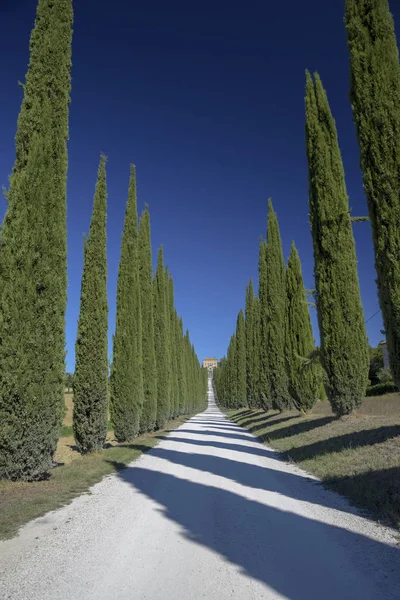 typical villa in the Italian countryside. Road with cypresses