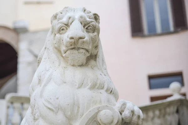 Estátua Leão Orgulhoso Com Escudo — Fotografia de Stock