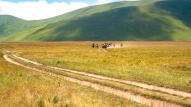 Sür. Bir grup turist çayırlarda at sırtında. Castelluccio di Norcia, Umbria, İtalya