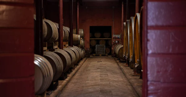 Ξύλινα Βαρέλια Παλαίωσης Κρασιού Στο Κελάρι — Φωτογραφία Αρχείου