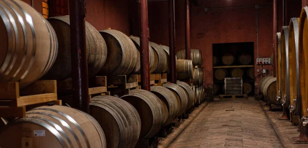 Barricas Madera Para Crianza Vinos Bodega — Foto de Stock