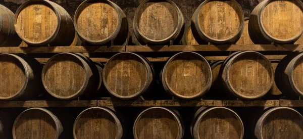 Drewniane Beczki Leżakowania Wina Piwnicy — Zdjęcie stockowe