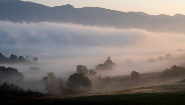 Sonbahar manzarası. Şafakta sisli vadi tabanı