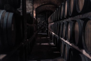 Şarap fıçıları mahzende yaşlanıyor.