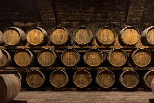 Barris Madeira Para Envelhecimento Vinho Adega — Fotografia de Stock