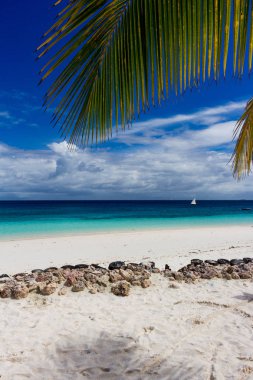 Sansibar Dream Beach, Afrika