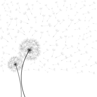 Bahar geçmiş dandelions ile
