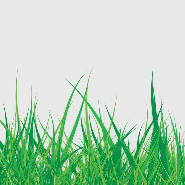 灰色背景上的春天绿色草 — 图库矢量图片