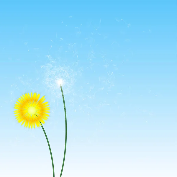Spring Background Dandelions — Stock Vector