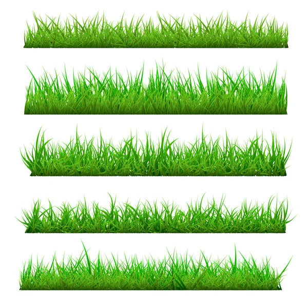 Conjunto Hierba Primavera Vectorial — Vector de stock