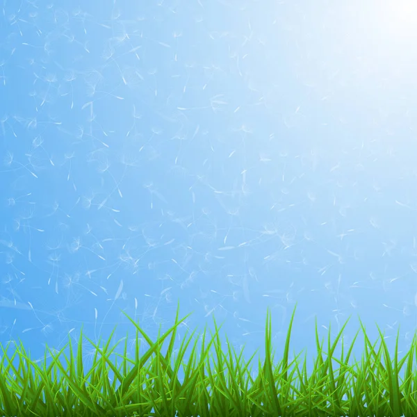 春天的蓝色背景与绿色的草和 Dandelions — 图库矢量图片