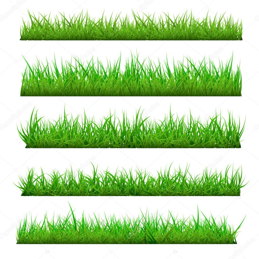 Set of Vector Spring Grass