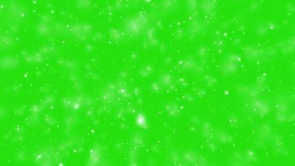 Flou effet Bokeh vidéo sur fond d'écran vert 