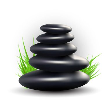 Zen Taşlı ve Çimenli Spa Tasarımı