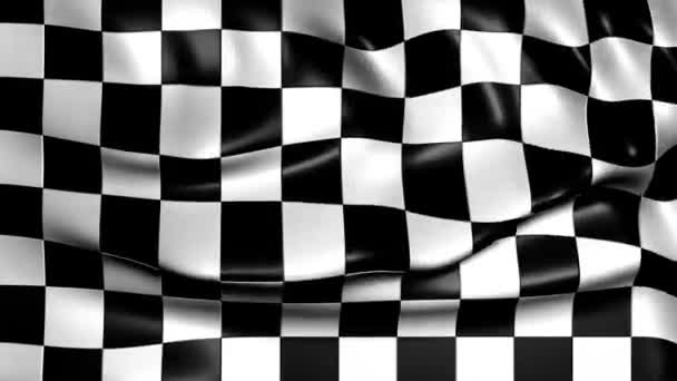 Geruit Geruit Racing Flag — Stockvideo