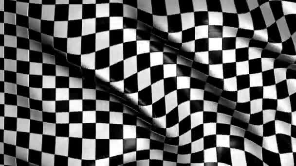 Loopas Checkered Racing Flagga — Stockvideo