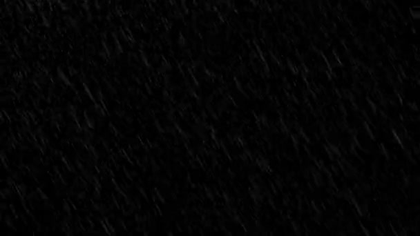 Looped Rain Animation Над Чорним Тлом — стокове відео