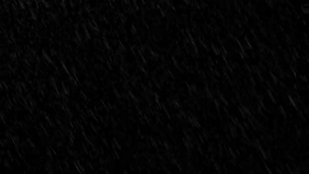 Animación Lluvia Bucle Sobre Fondo Negro — Vídeo de stock