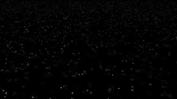 Animación Lluvia Bucle Sobre Fondo Negro — Vídeos de Stock