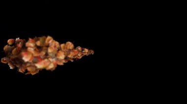 Sonbahar Yaprakları Uçuyor - Sonbahar Yaprakları Siyah zemin üzerinde Uzun Yol Takip Et