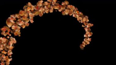 Sonbahar Yaprakları Uçuyor - Sonbahar Yaprakları Siyah zemin üzerinde Uzun Yol Takip Et