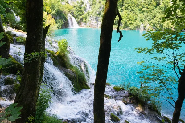 Cachoeira Anf Árvore Parque Nacional Lagos Plitvice Croácia Dia Ensolarado — Fotografia de Stock