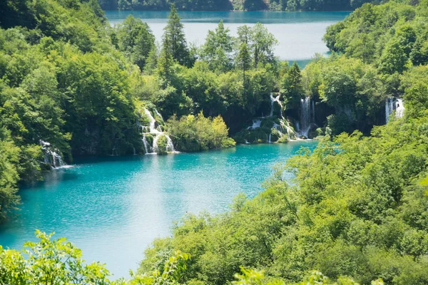 มมองด านบนของผ คนบนทางเด นไม คลาสส ามทะเลสาบในสวนธรรมชาต Plitvice ระหว างว แดด — ภาพถ่ายสต็อก