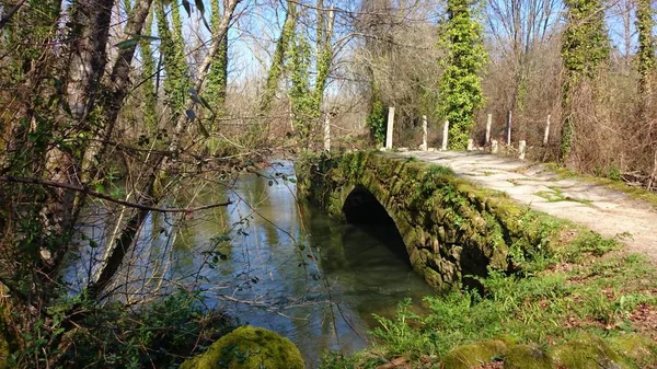 Tui サンティアゴの道 スペインの中世橋 — ストック写真