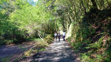 Portekizce şekilde Santiago yakınındaki Pontevedra, İspanya