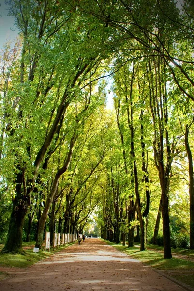 Parque Serralves Porto Portugal — Fotografia de Stock