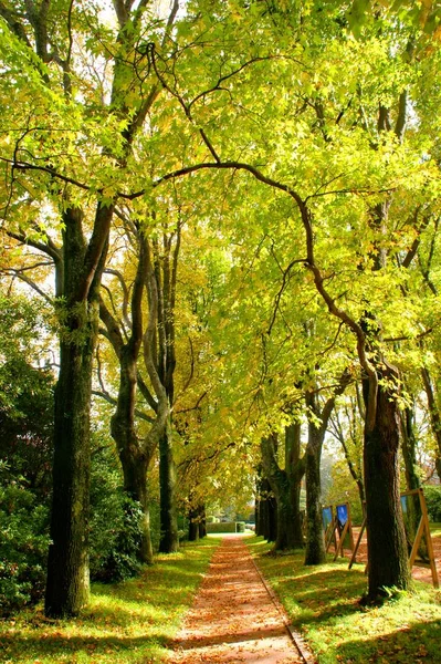 Parque Serralves Porto Portugal — Fotografia de Stock