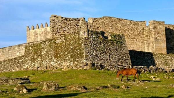 Kůň Poblíž Hradu Lindoso Národním Parku Peneda Geres Portugalsko — Stock fotografie