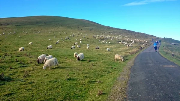 Pilgrims Crossing Atlantic Pyrenees French Way Santiago Napoleon Route — Stock Photo, Image