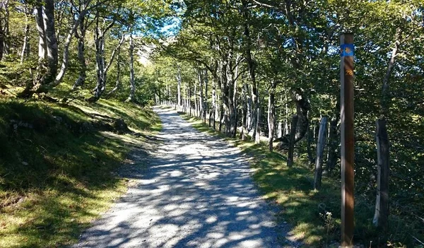 Crossing Atlantic Pyrenees French Way Santiago Napoleon Route — Stock Photo, Image