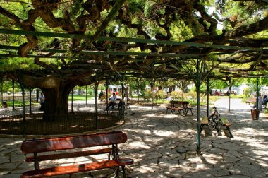 Sao Pedro de Alcantara Bahçesi Lizbon, Portekiz
