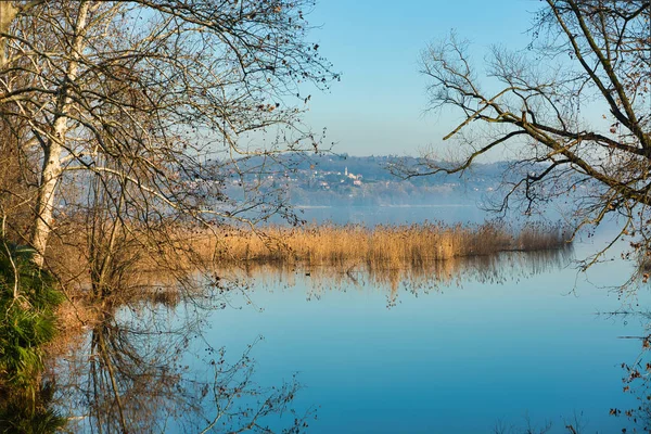 Schilf See Von Varese Mit Einem Hügel Hintergrund — Stockfoto