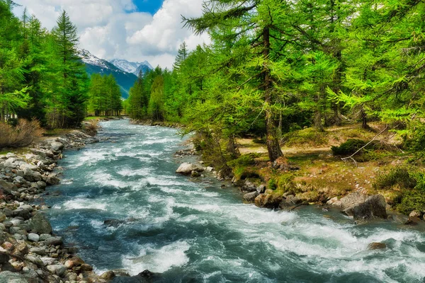 Río Entre Los Árboles Las Montañas Del Valle Aosta Durante Imagen de stock