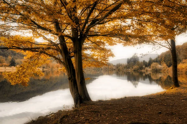 Paisagem Tranquila Uma Tarde Nebulosa Outono Lago Ghirla Perto Cidade — Fotografia de Stock