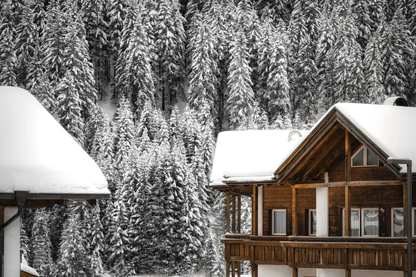 Dois Telhados Nevados Casas Pinhal Fundo Dia Frio Inverno Nas — Fotografia de Stock