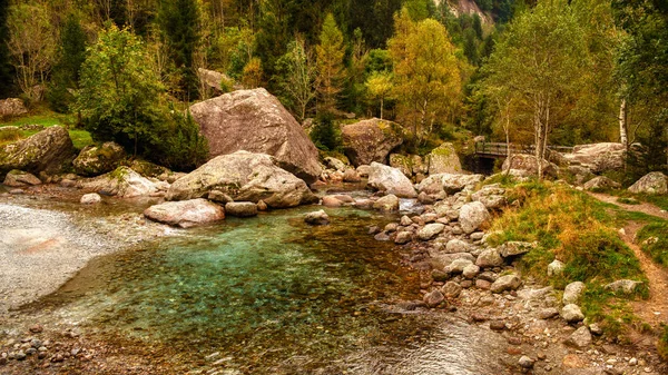 Mountain River Forest Bridge Background — Stock Photo, Image