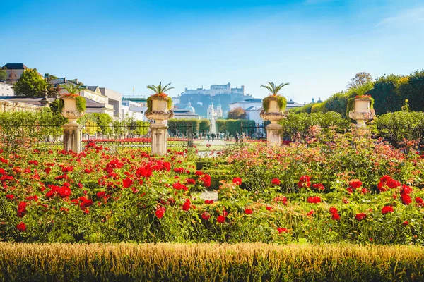 Mirabell Gardens with Hohensalzburg Fortress in Salzburg, Austria — Stock Photo, Image