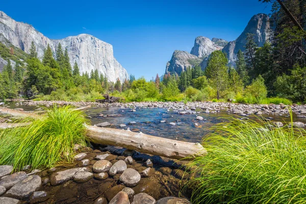 Parque Nacional Yosemite en verano, California, EE.UU. —  Fotos de Stock