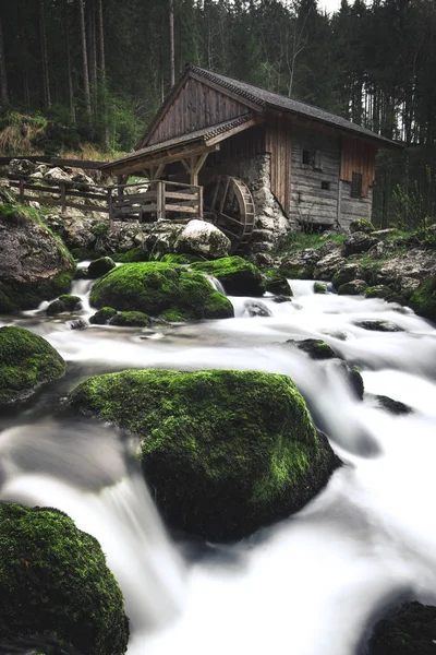 Oude verlaten molen in Mystic Forest op een bewolkte humeurig dag — Stockfoto